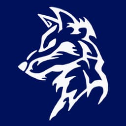 Newftorious avatar